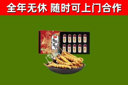 让胡路回收冬虫夏草价格
